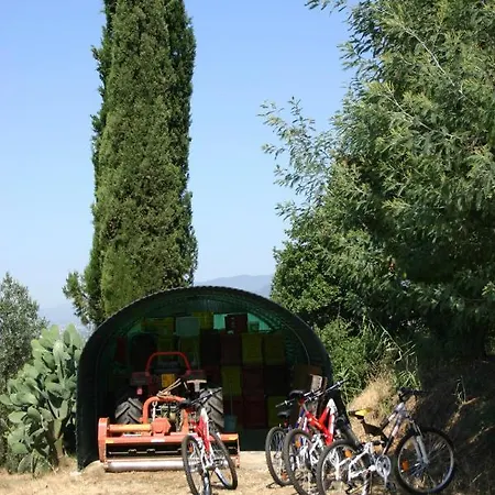 Villa Il Casale Toscano Collina Toscana *