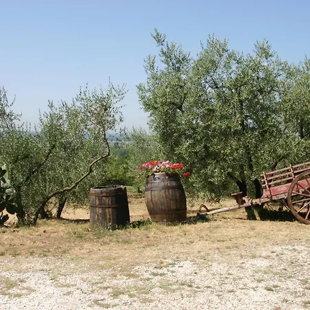 Il Casale Toscano Collina Toscana